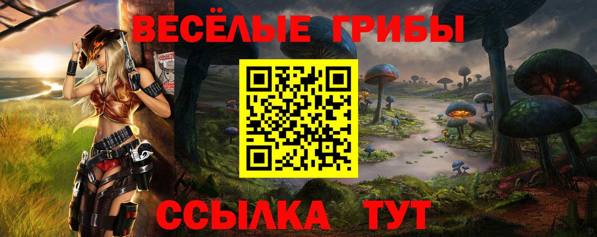 Псилоцибиновые грибы Cubensis Клинцы