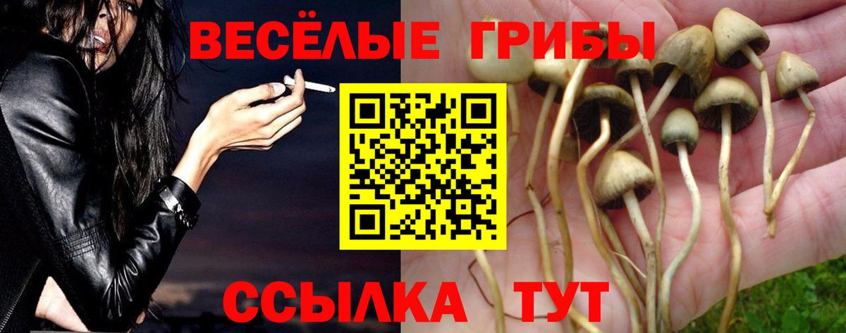 Псилоцибиновые грибы Cubensis  продажа наркотиков  Клинцы  Вход с VPN 